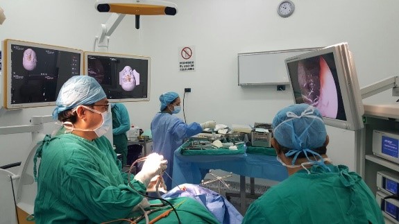 ENDOSCOPIA ENDONASAL TRANSESFENOIDAL